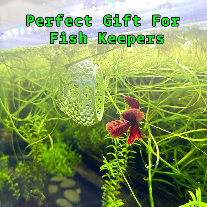 CTWPets Store Betta Bulb Hide | Betta Rest Fish Tank Ornament | Aquarium Cave with Suction Cup for Small Fish Tank, Betta Habitat, Shrimp Hideout, Aquatic Decor (Pure White) - Image 3